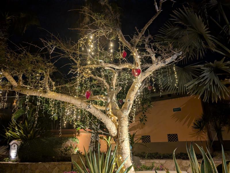 The beauty of glass hearts and how they catch the light.