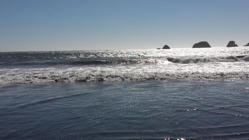The Pacific coast, waves breaking against sea stacks in the afternoon sun